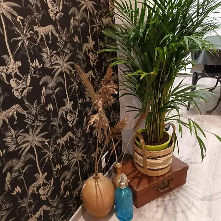 Maison Stacheul*gare/centre*wifi Amiens